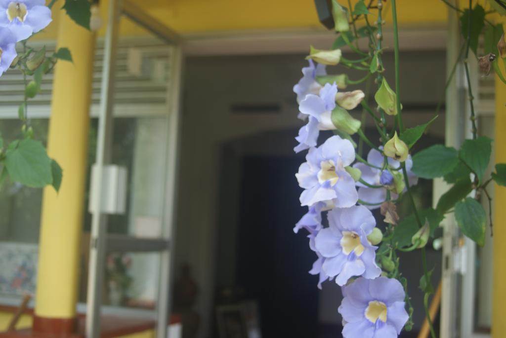 Ananda Home Stay And Restaurant 坦加拉 外观 照片