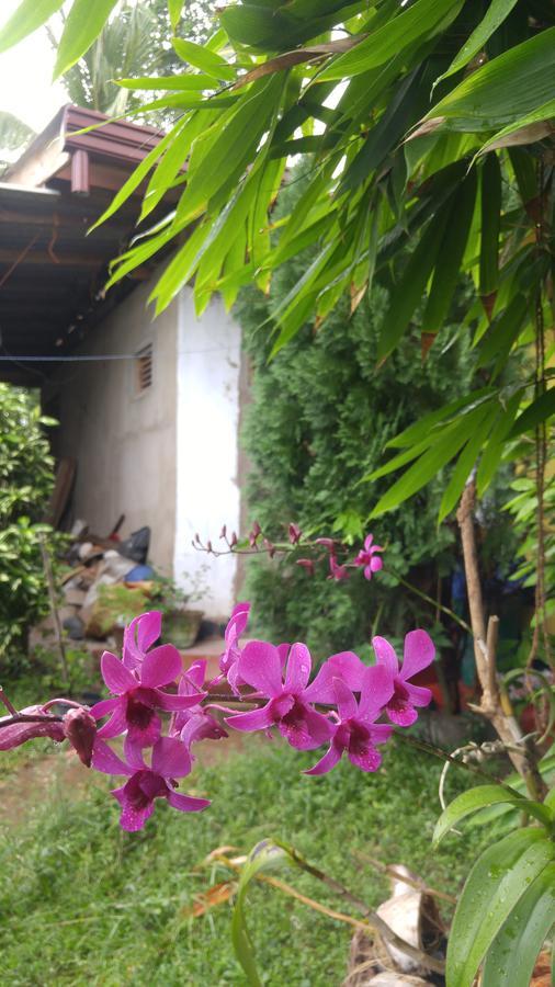 Ananda Home Stay And Restaurant 坦加拉 外观 照片